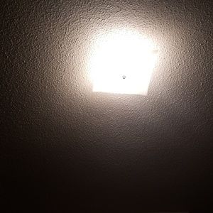 Meet your Posher, Desmond